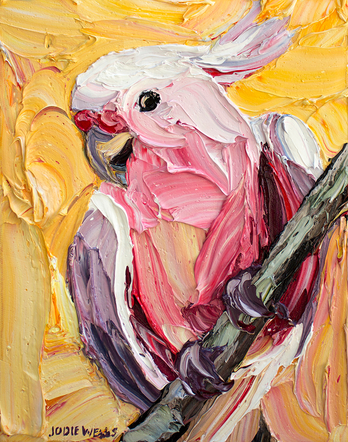Major Mitchel Cockatoo by Jodie Wells | Lethbridge Gallery